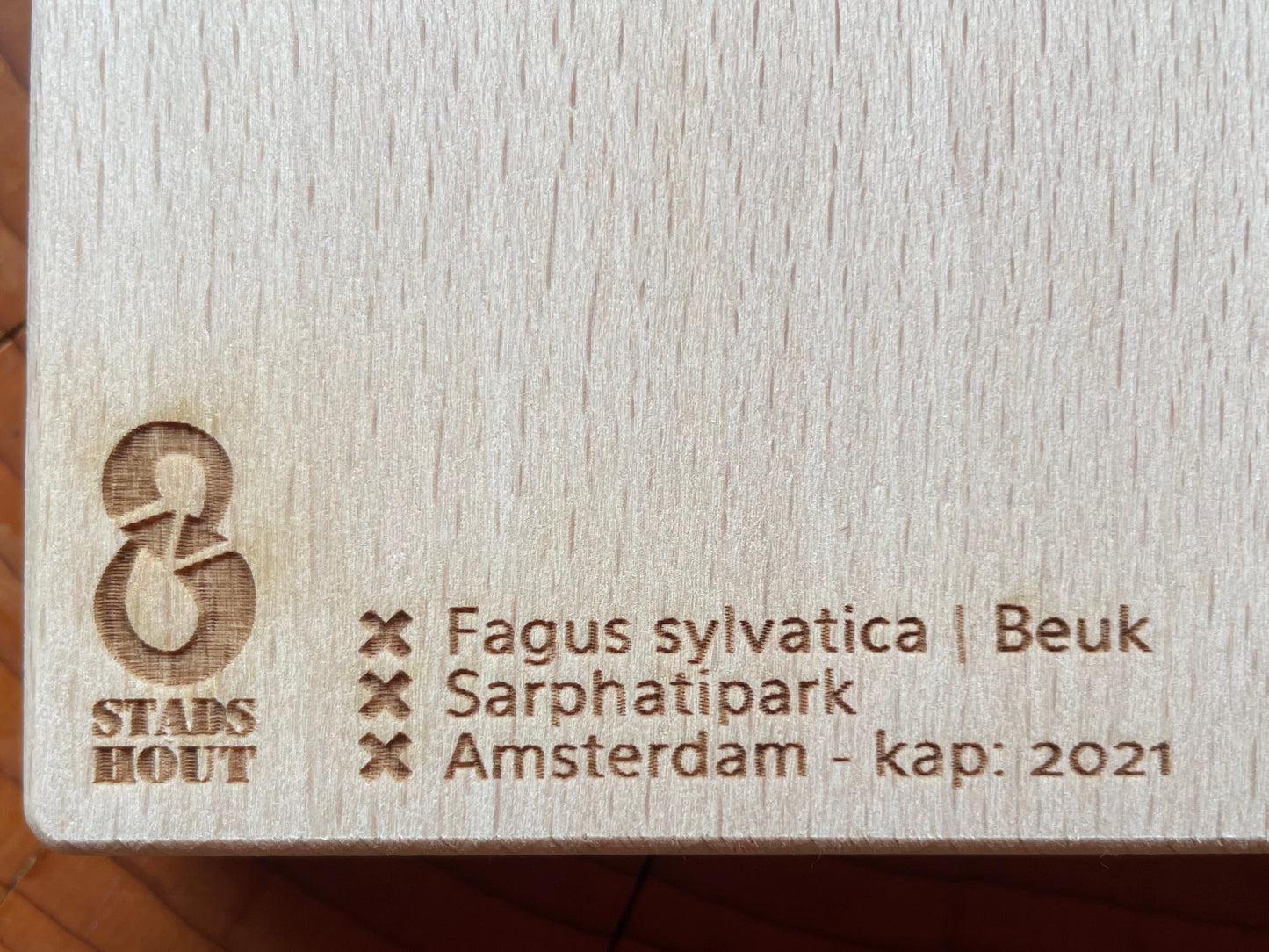 Beech trivet from Sarphatipark tree information