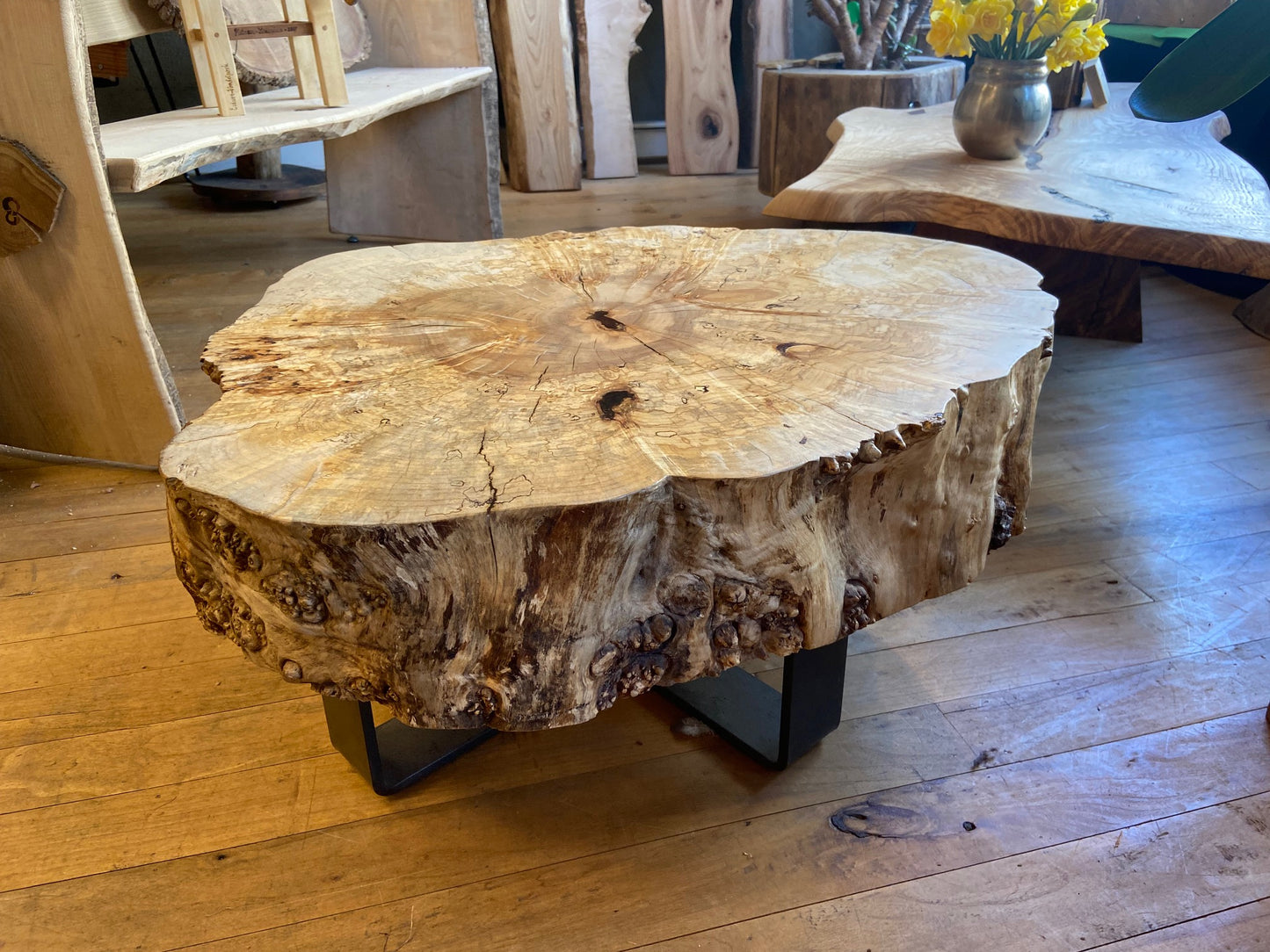 Silver Maple Coffee Table