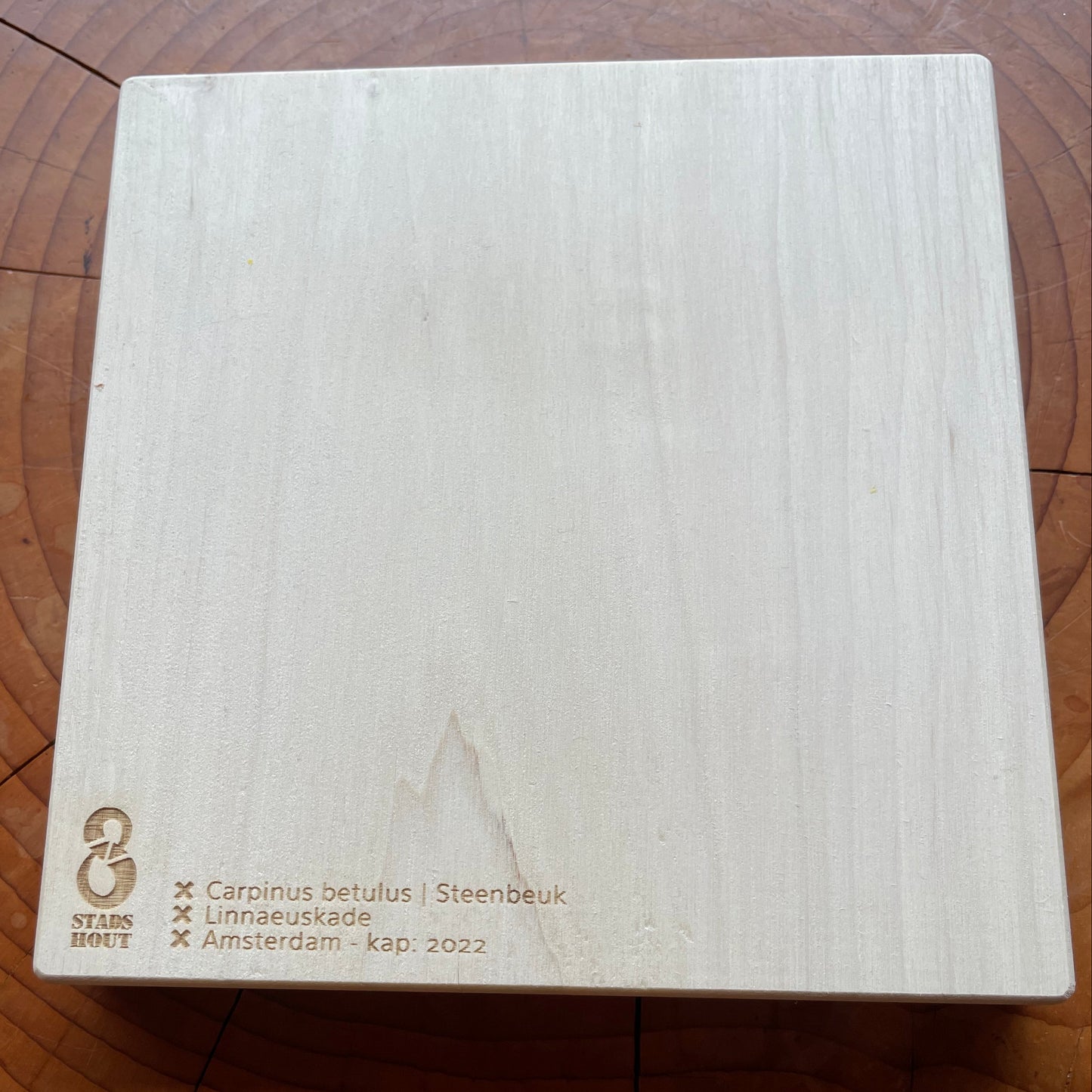 Hornbeam Trivet from Linnaeuskade