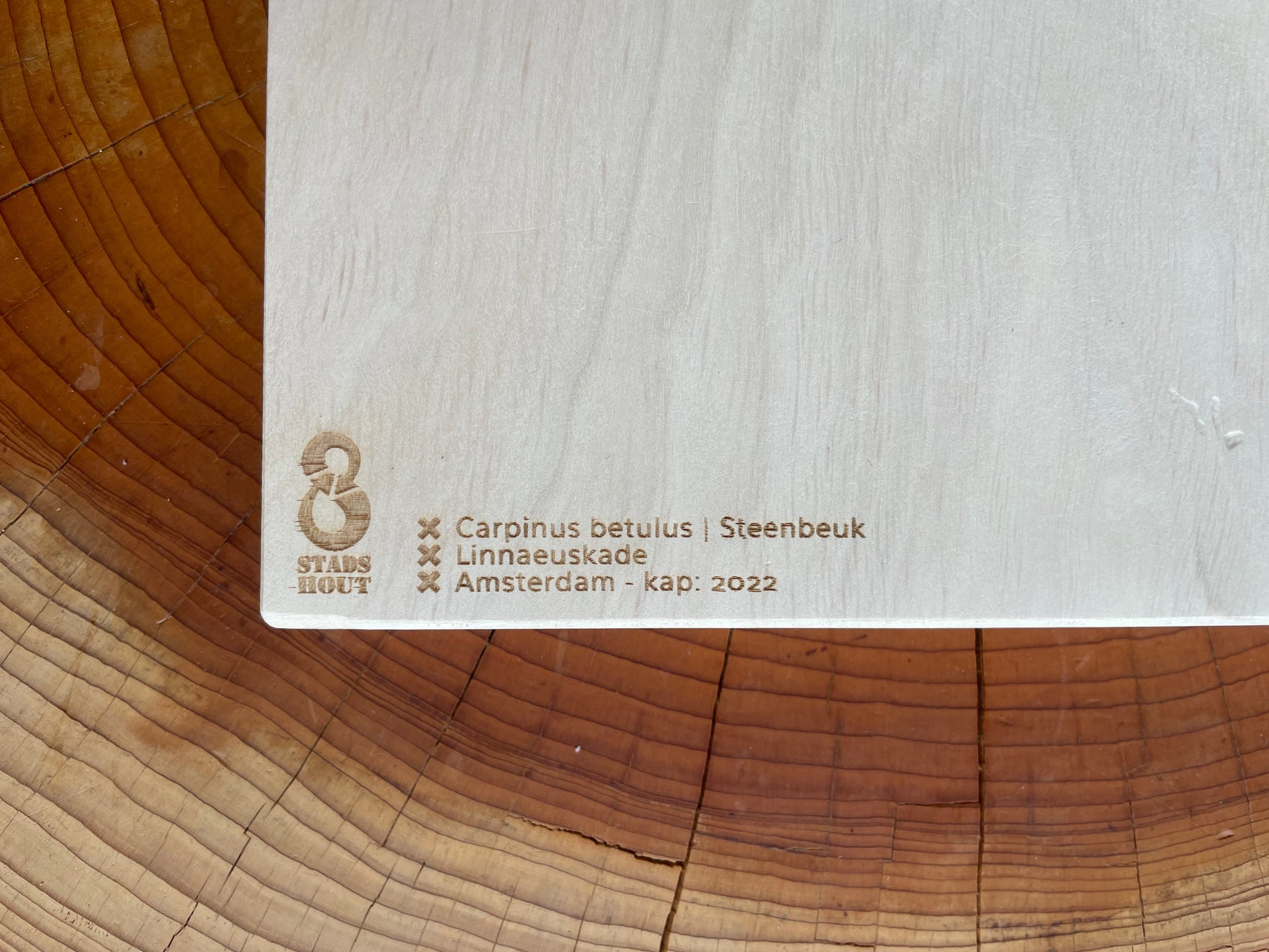 Hornbeam Chopping Board from Linneauskade tree information