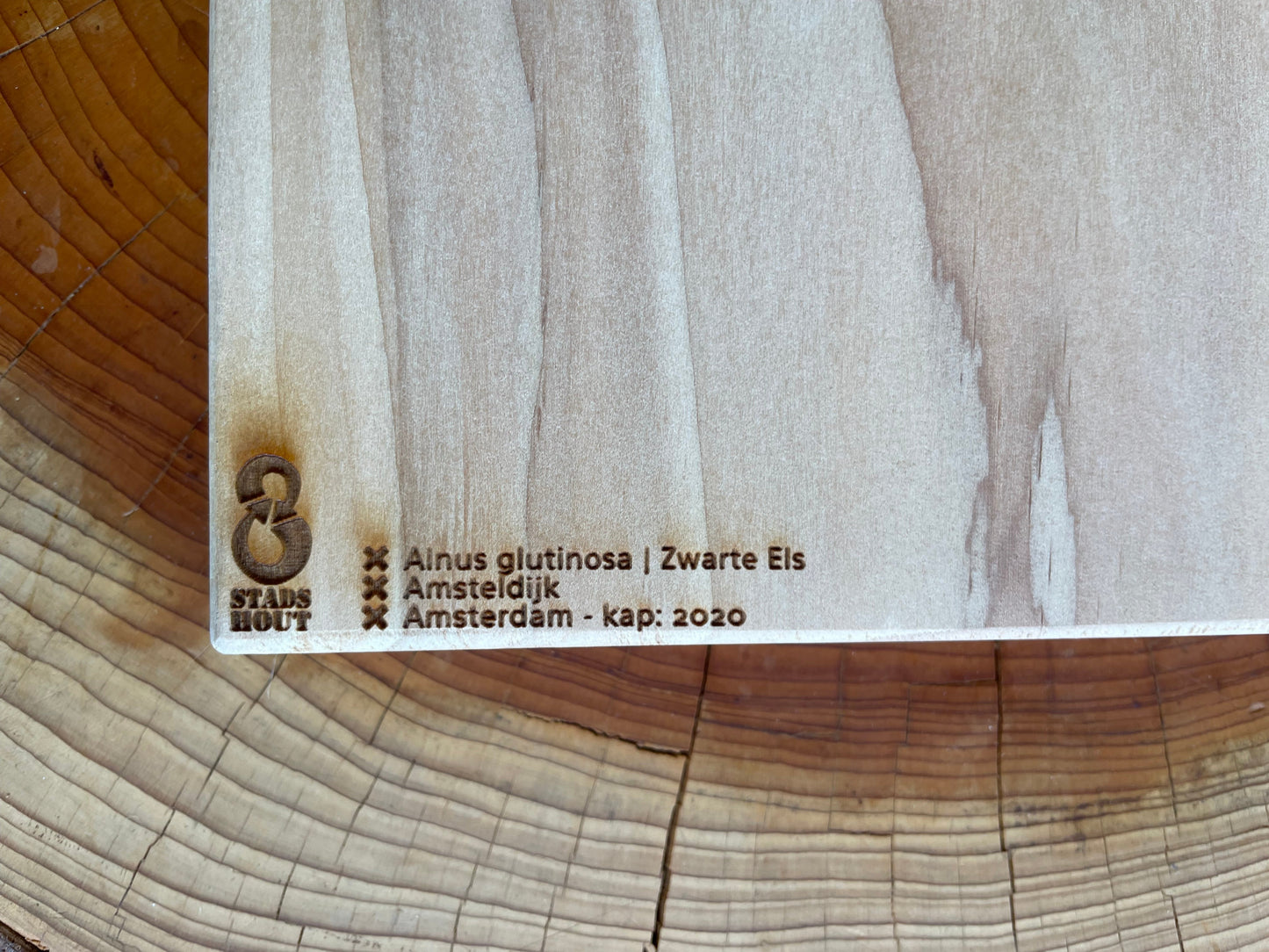 Black Alder from Amsteldijk tree information