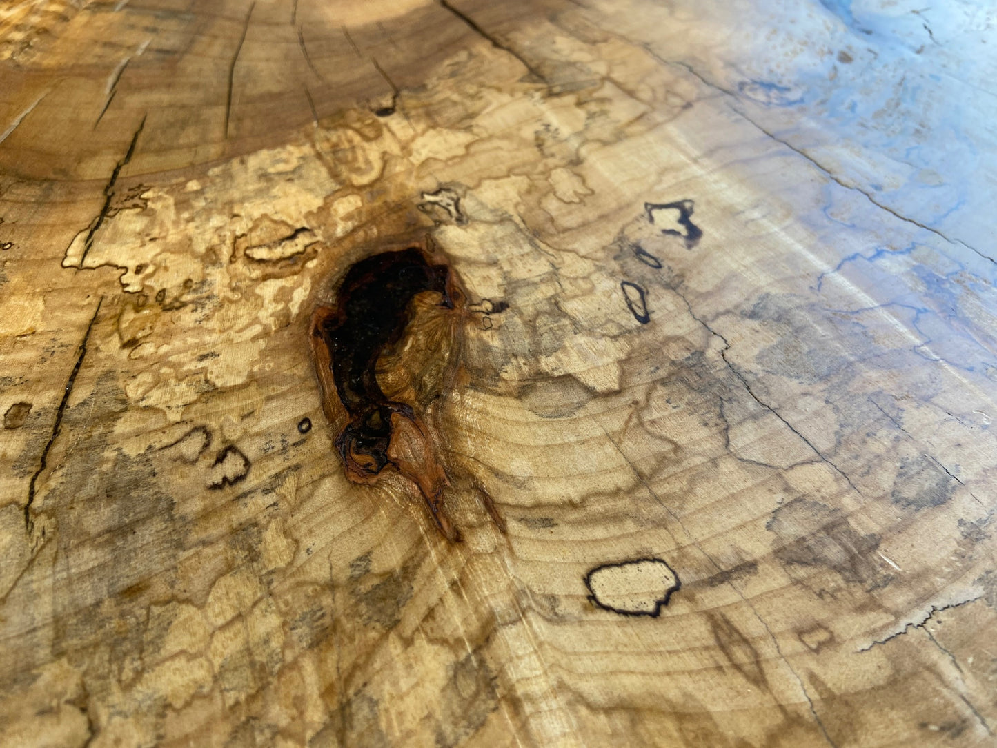 Silver Maple Coffee Table