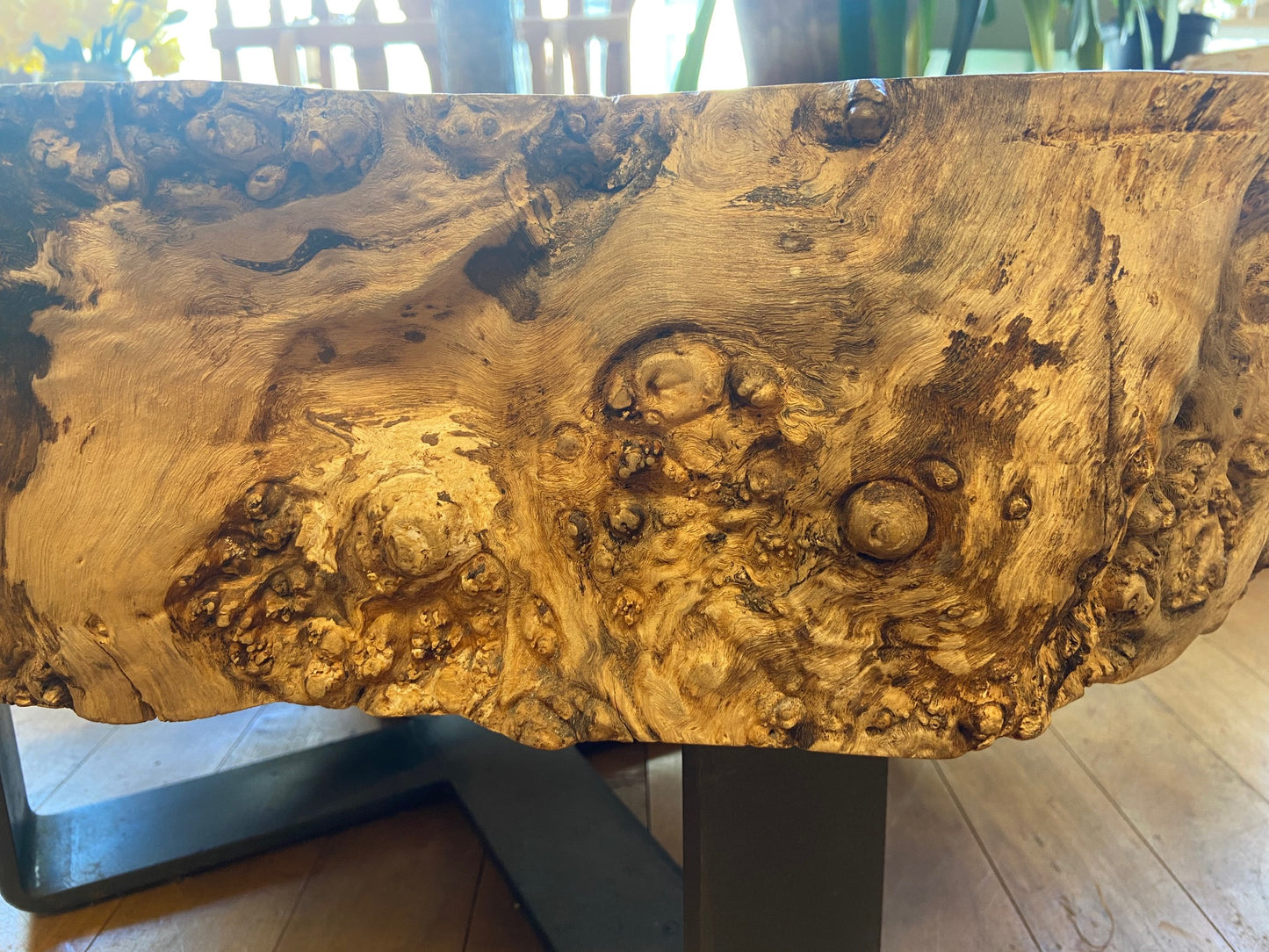 Silver Maple Coffee Table